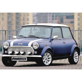 Mini (1959 - 2000)